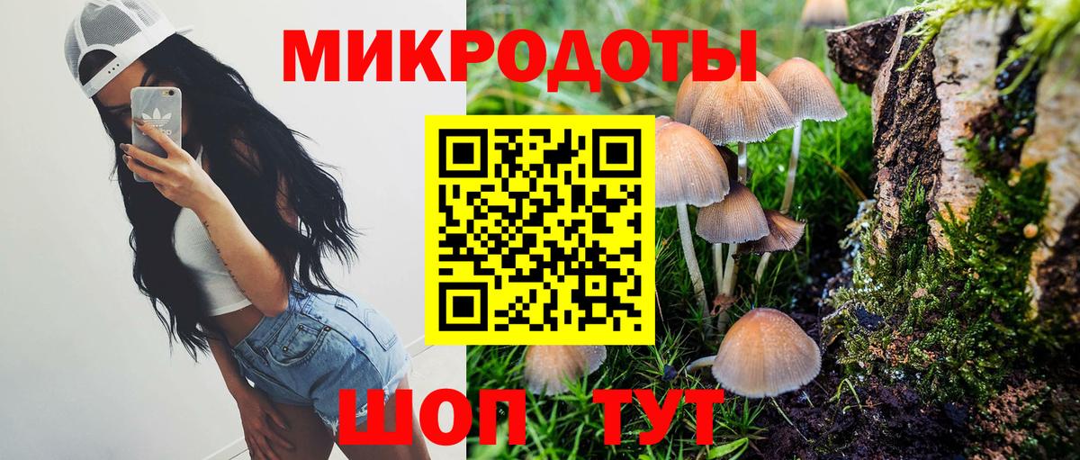 Ростов Великий  Псилоцибиновые грибы Cubensis  Вход с VPN 